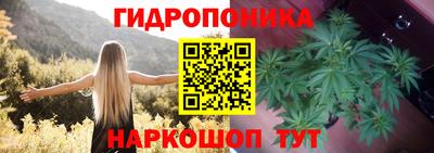 эйфоретик Бузулук