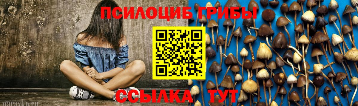 Псилоцибиновые грибы Psilocybe  Галлюциногенные грибы MAGIC MUSHROOMS  Минеральные Воды  Вход с VPN 