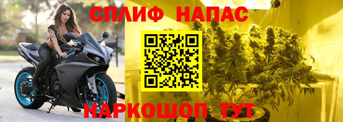 Канабис VHQ Минеральные Воды